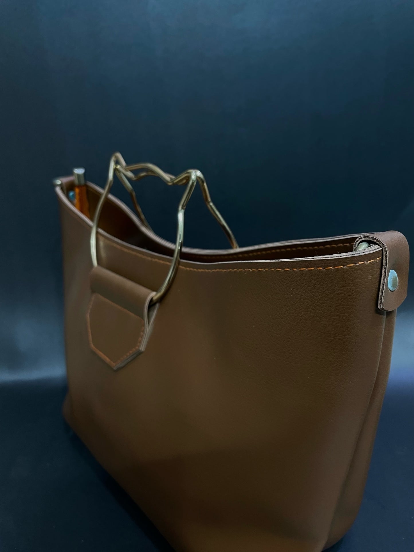 Brown Ladies Handbag